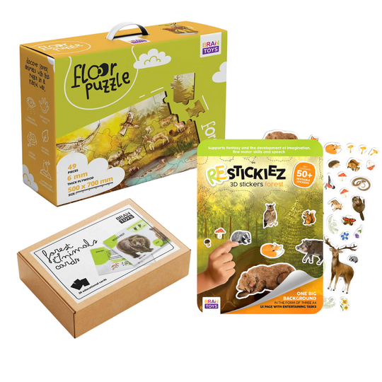 Csomag - Erdei állatok -50%