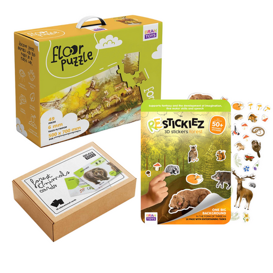 Csomag - Erdei állatok -50%