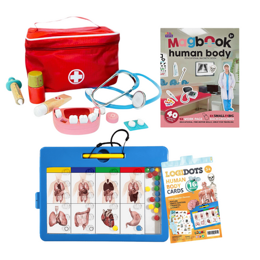 Csomag - az emberi test -50%