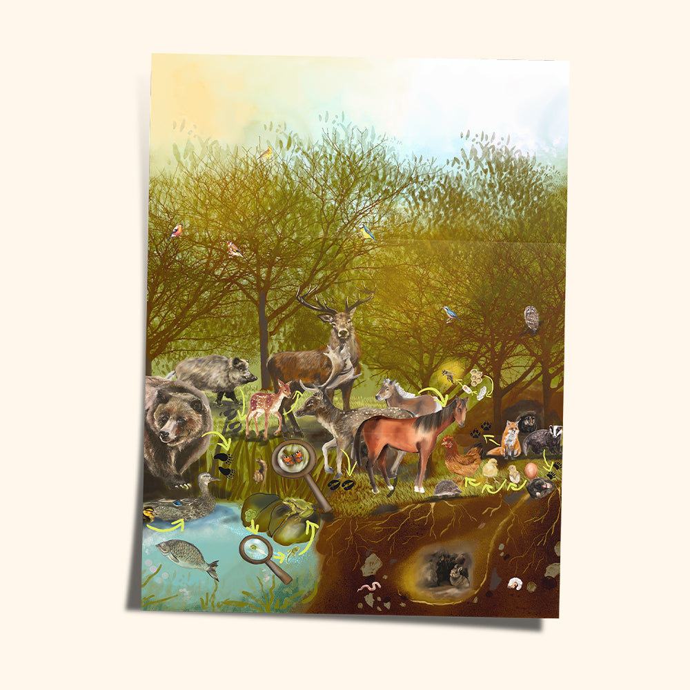 COLORMAG CLEAR - átlátszó mágneses építőkészlet