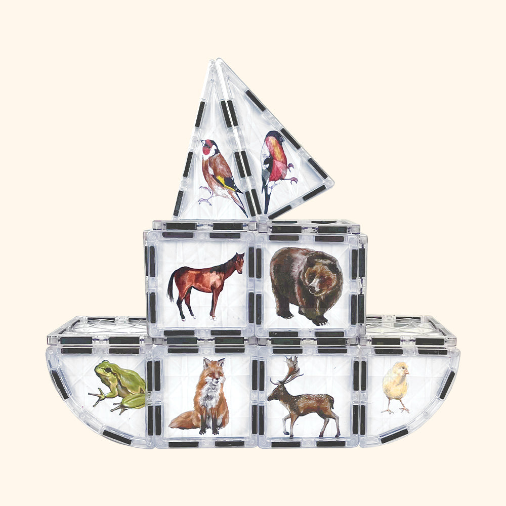 COLORMAG CLEAR - átlátszó mágneses építőkészlet