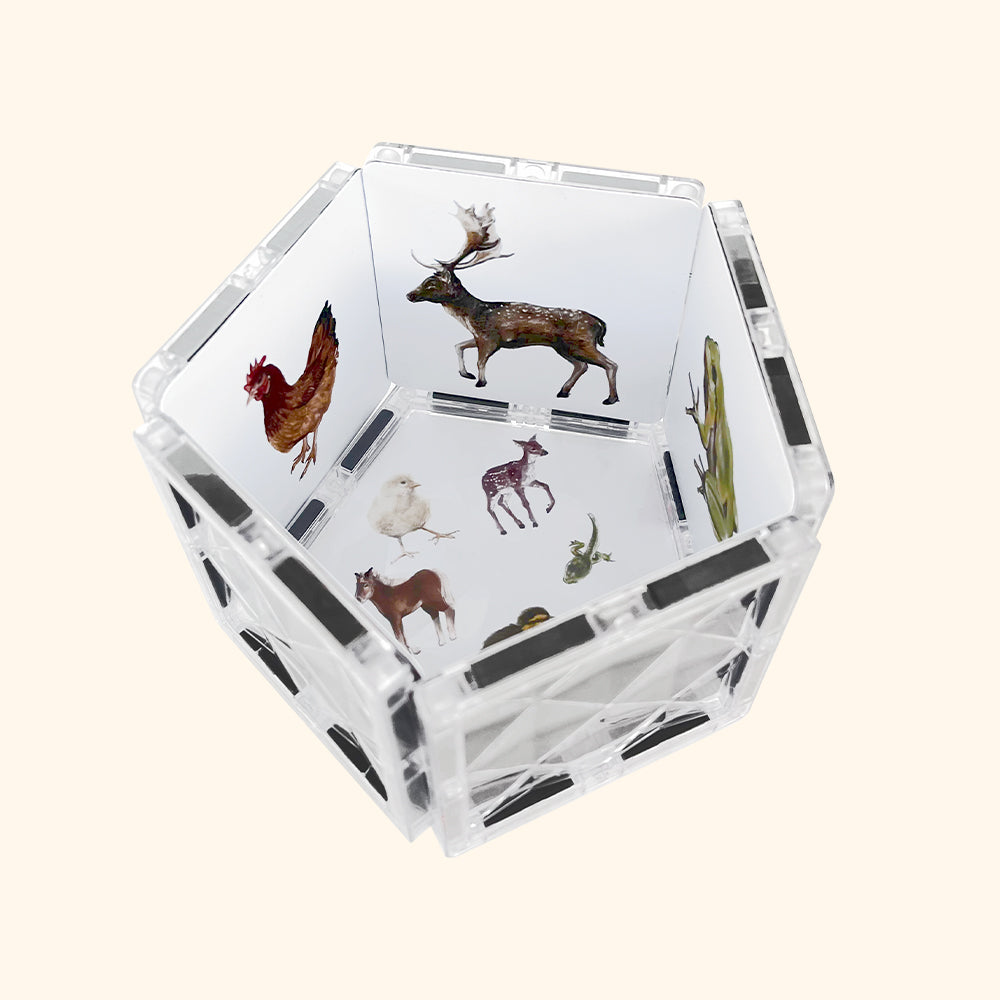 COLORMAG CLEAR - átlátszó mágneses építőkészlet