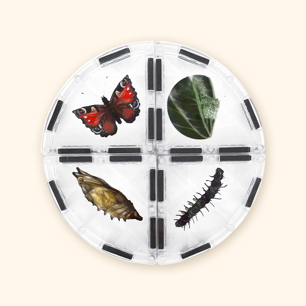 COLORMAG CLEAR - átlátszó mágneses építőkészlet