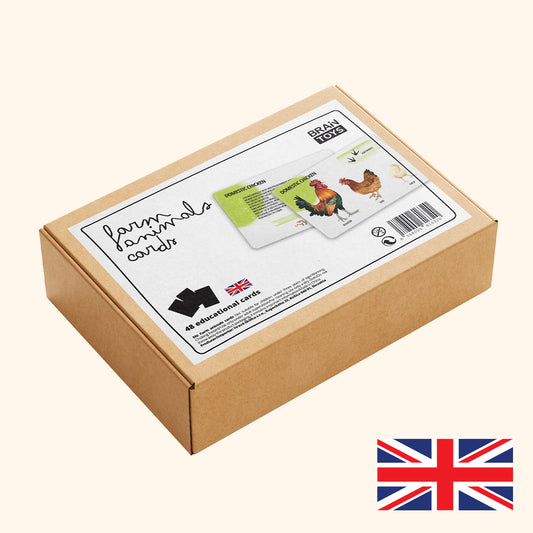 EN - Oktató kártyakészlet - Háziállatok