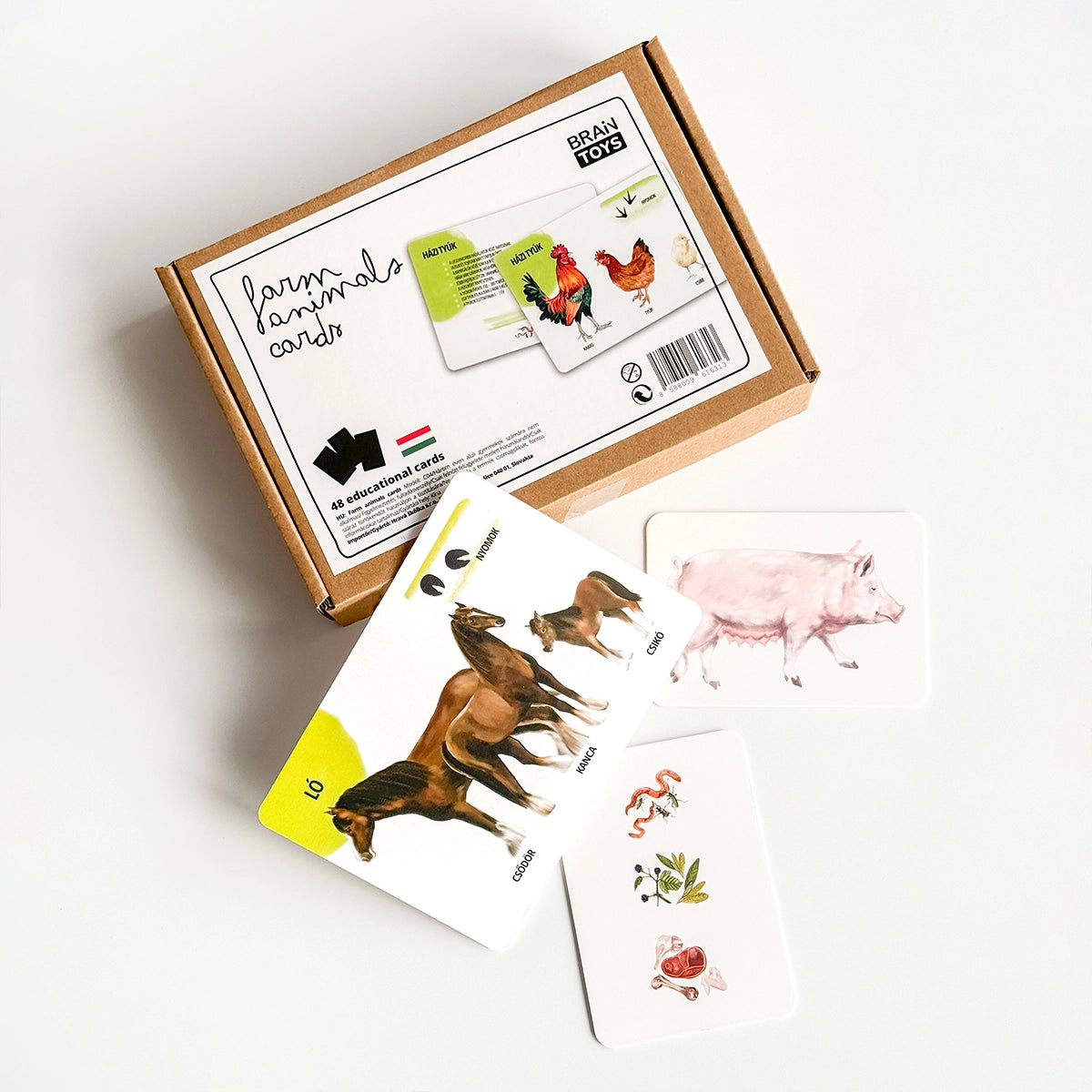 Oktató kártyakészlet - Háziállatok