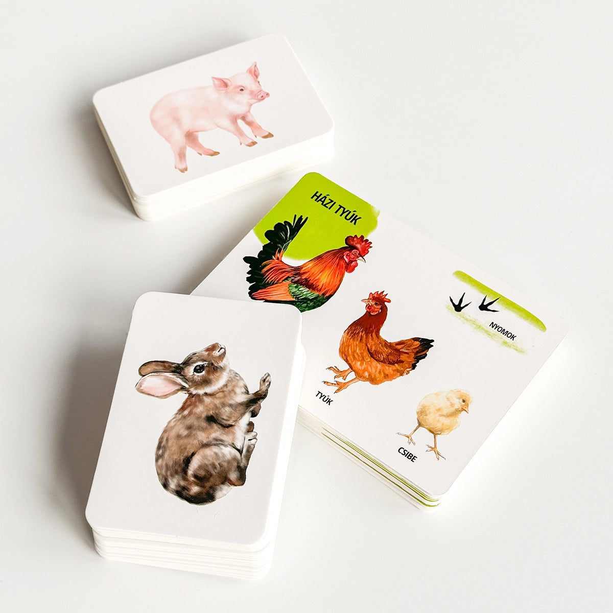 Oktató kártyakészlet - Háziállatok