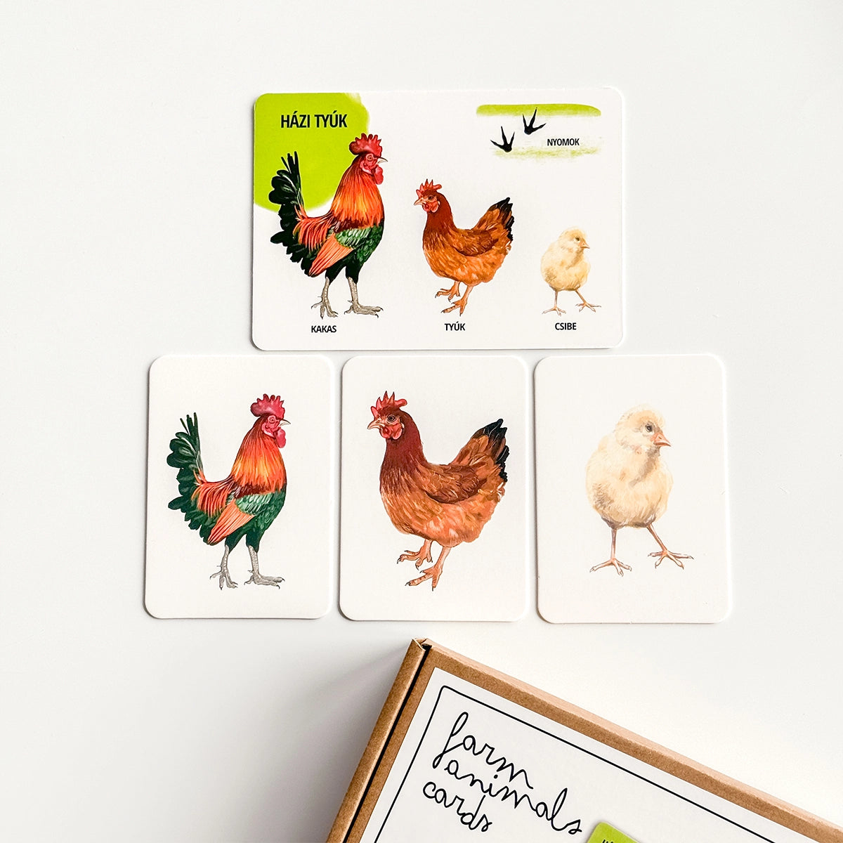 Oktató kártyakészlet - Háziállatok