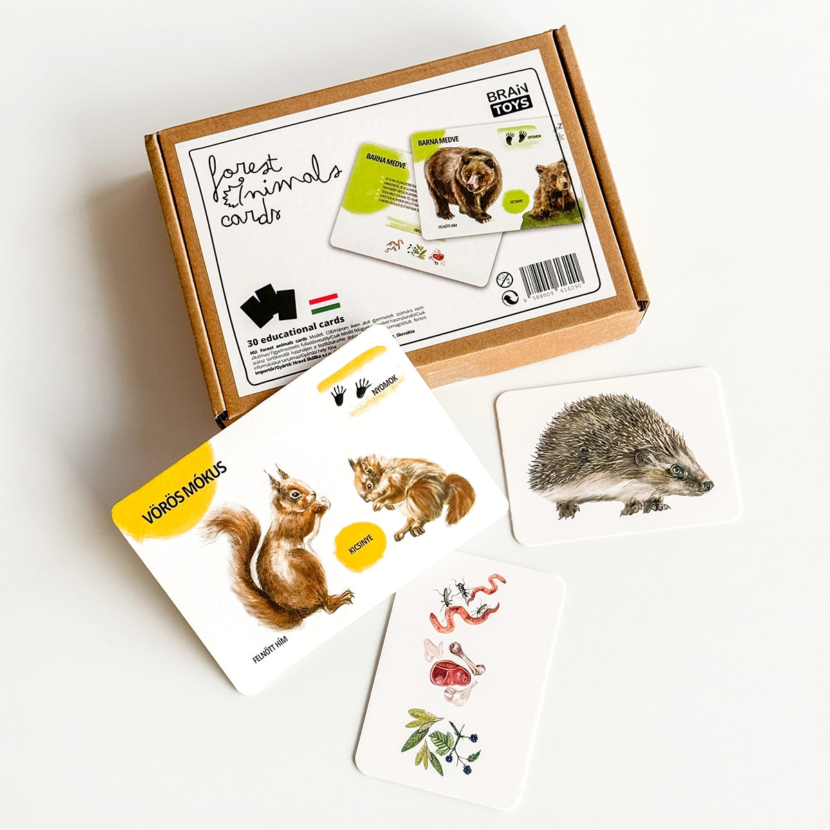Oktató kártyakészlet - Erdei állatok