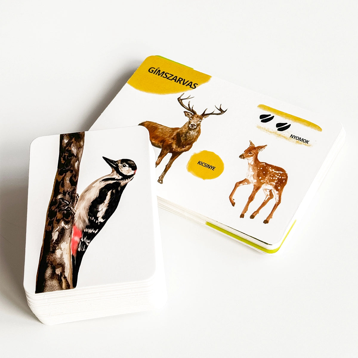 Oktató kártyakészlet - Erdei állatok