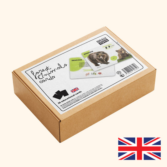 EN - Oktató kártyakészlet - Erdei állatok