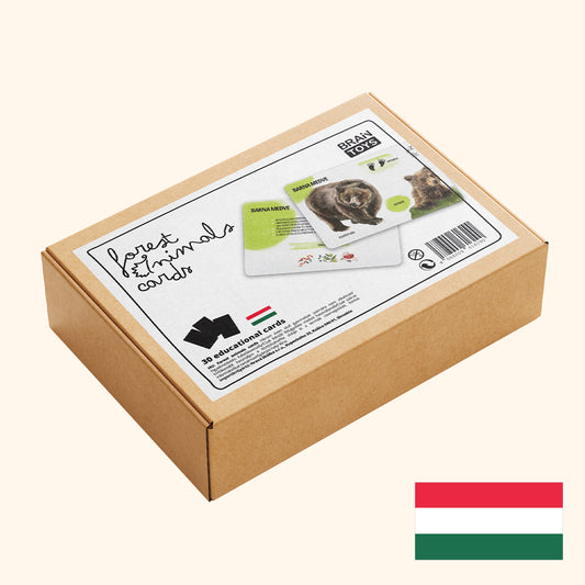 Oktató kártyakészlet - Erdei állatok