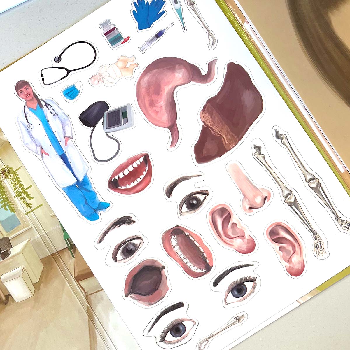 MAGBOOK- mágneses könyv - az emberi test