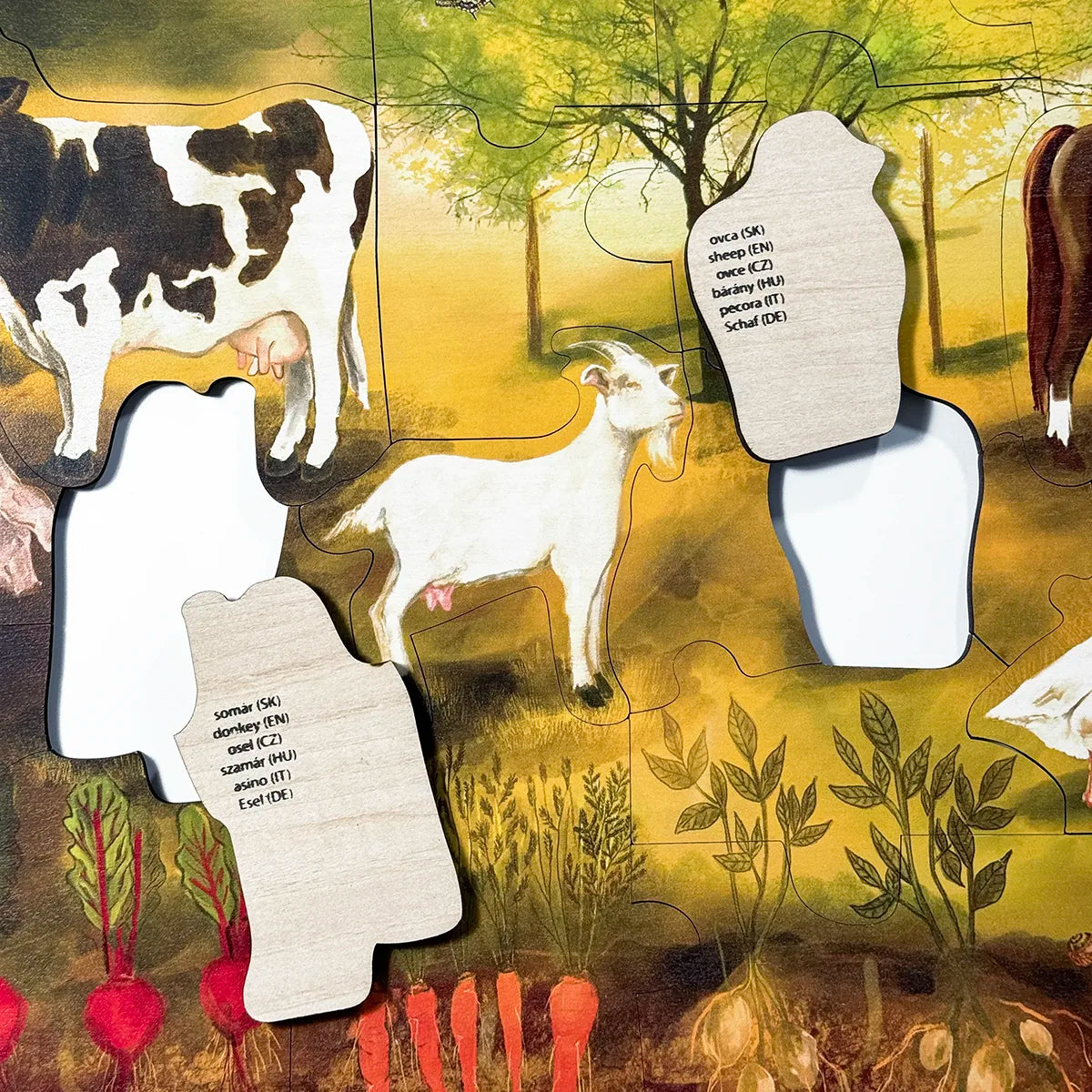 Csomag - Háziállatok -50%