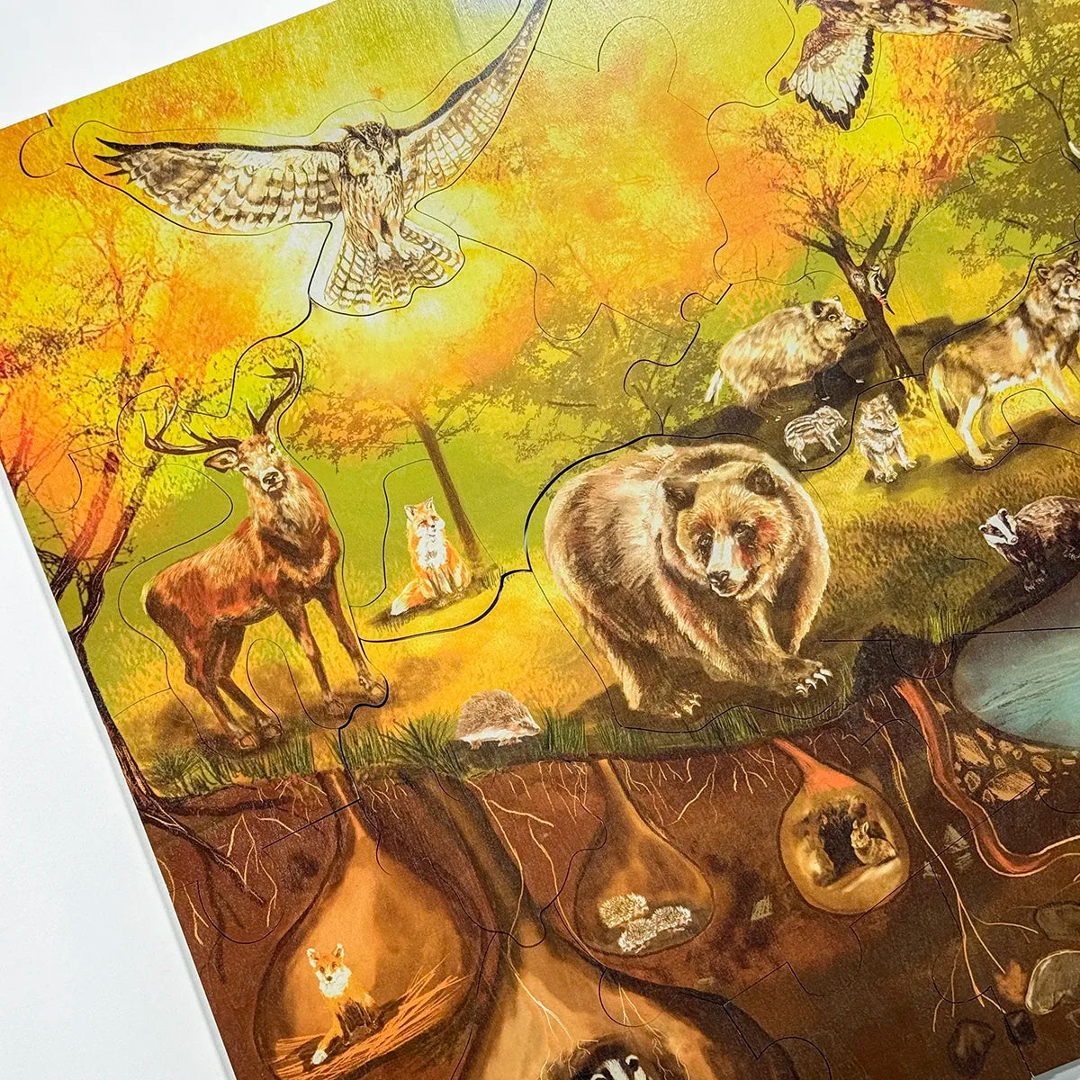 Padló puzzle - Erdő