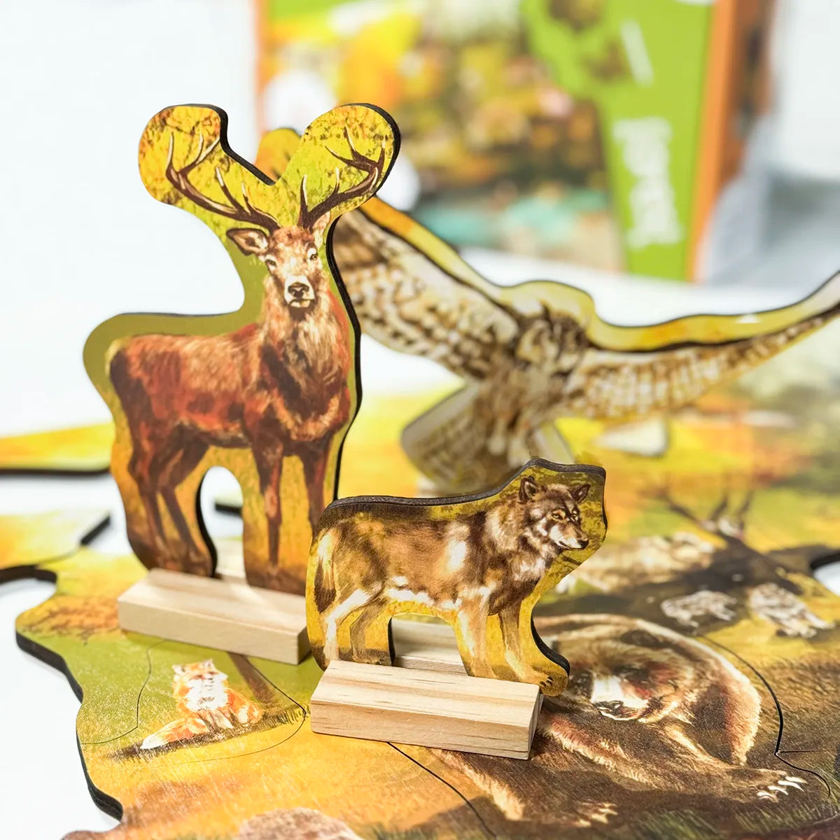 Csomag - Erdei állatok -50%