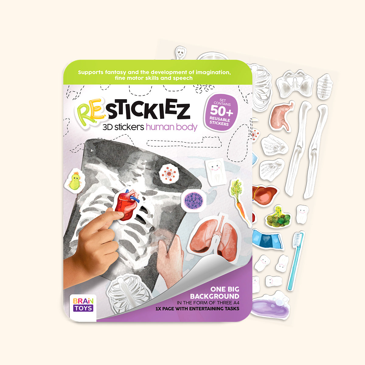 3D REstickiez - Az emberi test