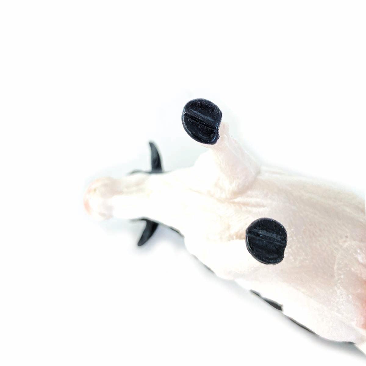 Figura készlet - Háziállatok