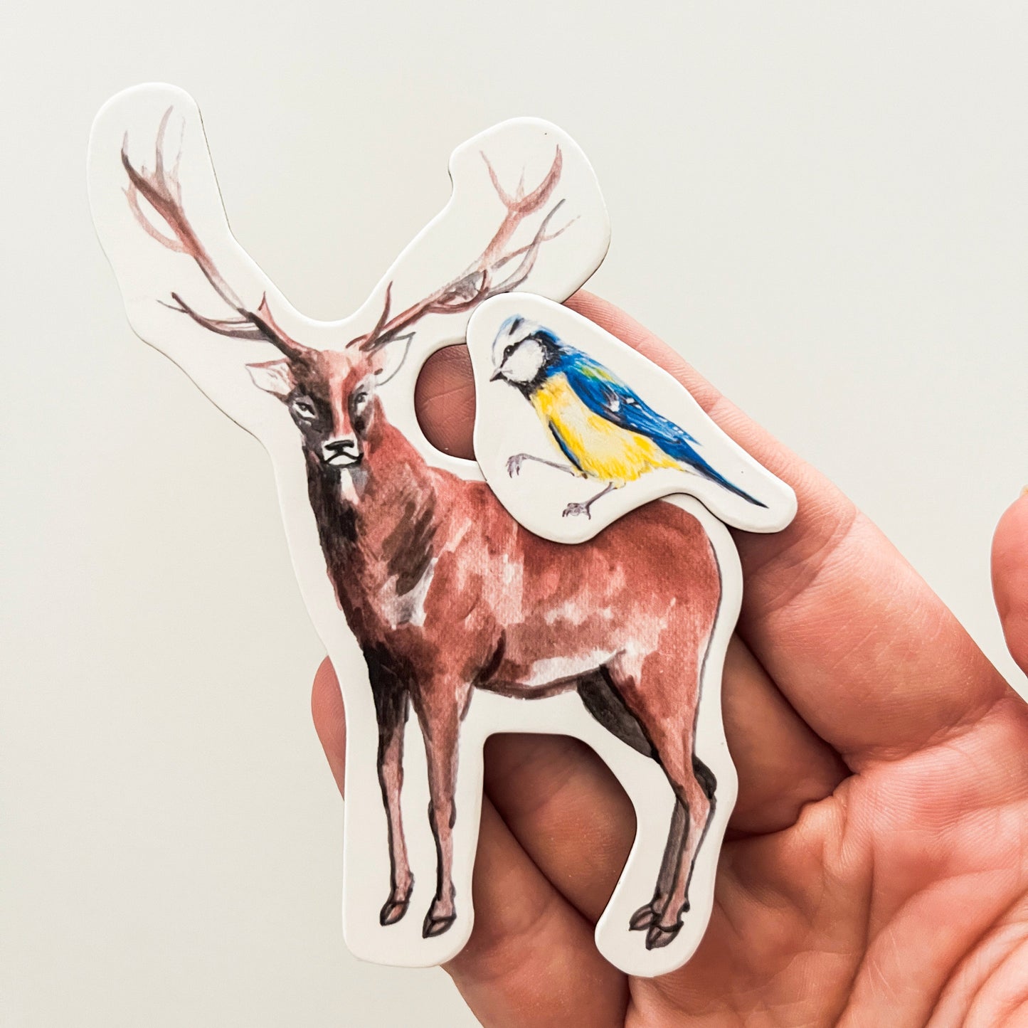 MAGBOOK- mágneses könyv - állatok és természet