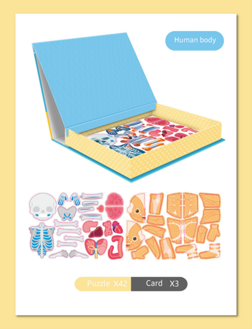 Mágnese puzzle – Emberi test